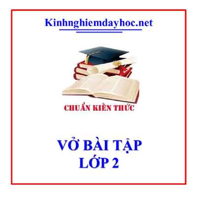 Vo Bai Tap Lop 2