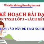 Kế hoạch bài dạy TNXH lớp 3 tuần 19 sách Kết nối
