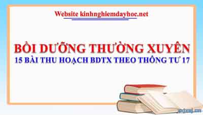 Bdtx